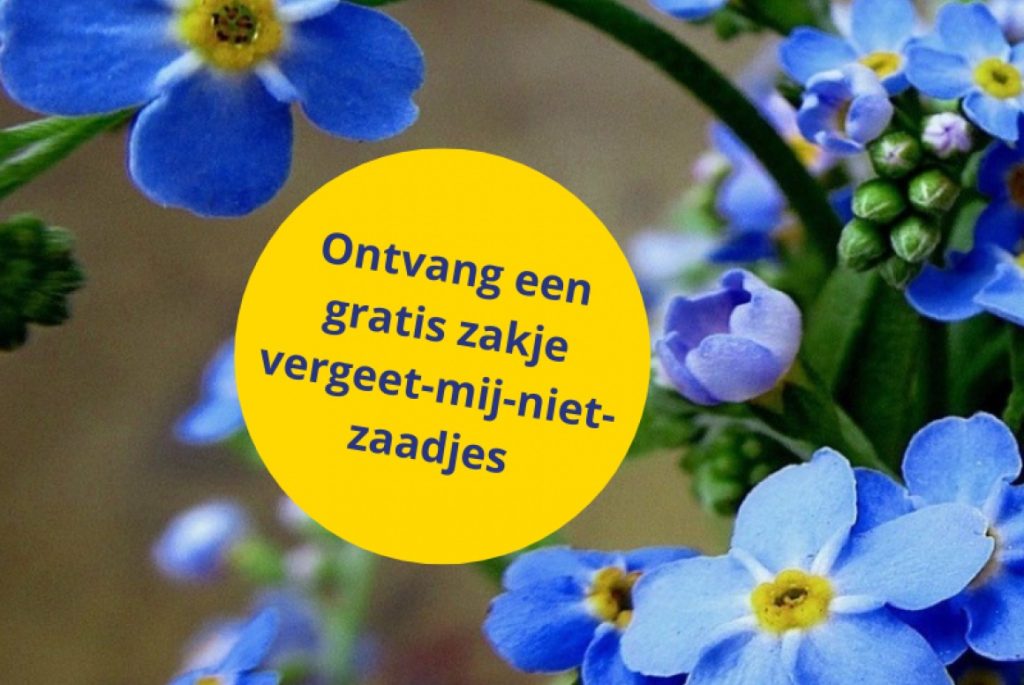 gratis vergeet mij niet zaadje