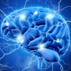 Gratis epilepsie basisset