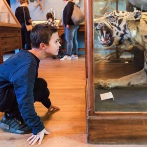 Gratis toegang tot het Natuurmuseum Fryslan op dinsdagen