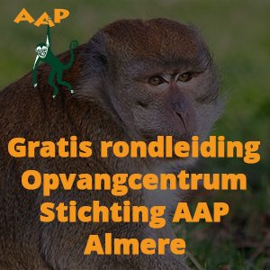 Gratis rondleiding bij stichting AAP