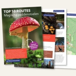 Gratis boekje top 10 paddenstoelen routes bij Natuurmonumenten